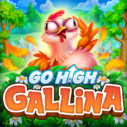 Go High Gallina 94